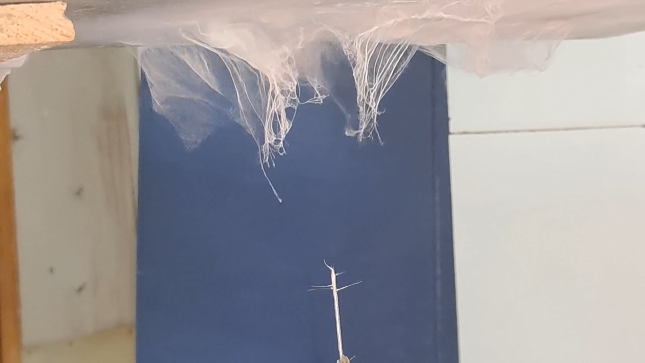 Electrospinning: Solutions of Polystyrene and Polyvinylidene Difluoride in Dimethylformamide